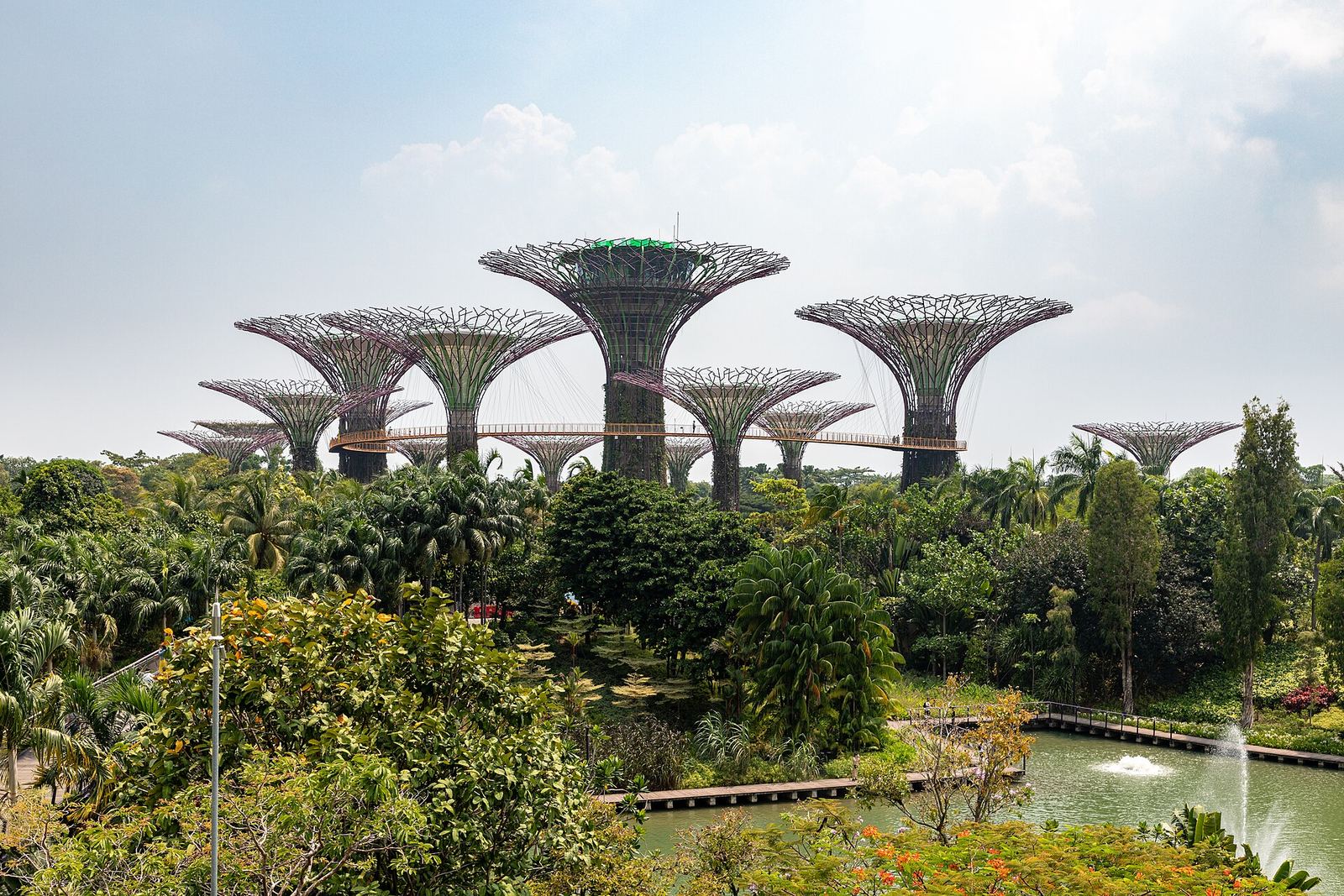 Supertree Grove, Gardens by the Bay